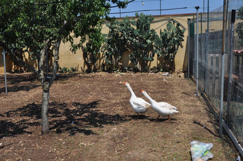 Bed & Breakfast Giardini Di Marzo Lecce Exterior foto